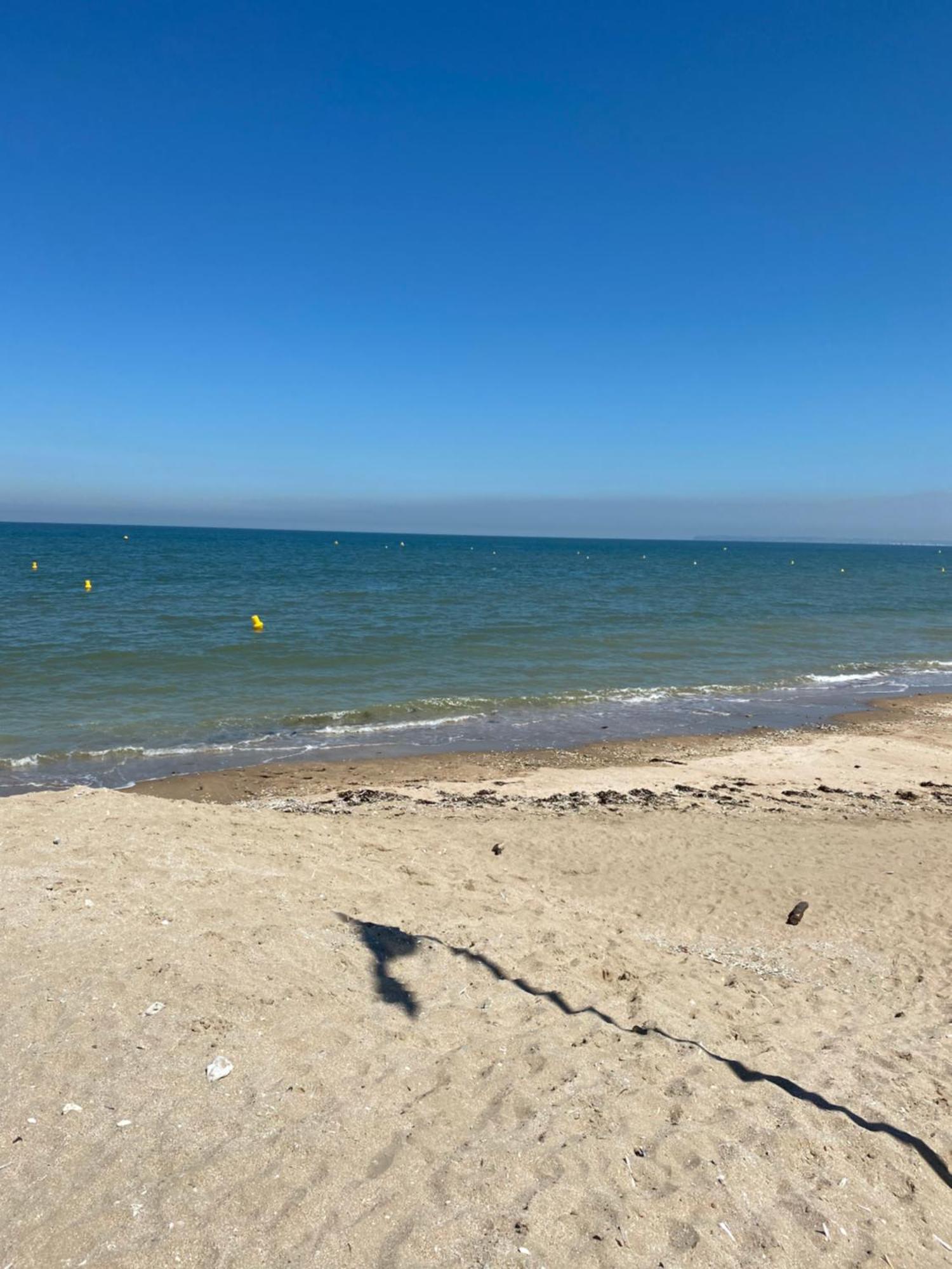 Appartement 65M2 Avec Balcon Vues Partielles Mer A 150M De La Plage Et Centre, Wifi Et Parking Prive Блонвиль-сюр-Мер Экстерьер фото